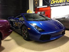 Driven Exotics
