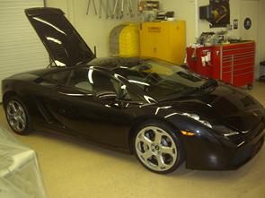 Driven Exotics 