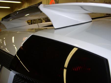 Murcielago Wing Driven Exotics