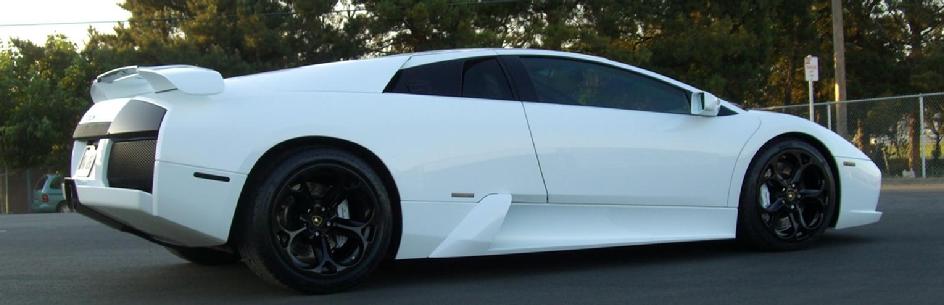 Murcielago wing